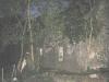 Swanton farm ruins in Lissicorrane_thumb.jpg 2.1K